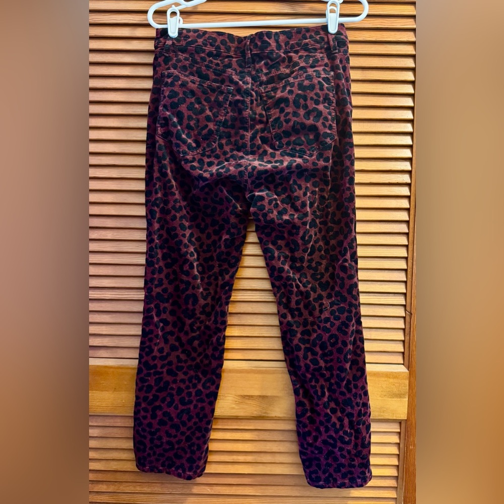 Red Leopard-print Straight Velvet Pants - Picture 4 of 5